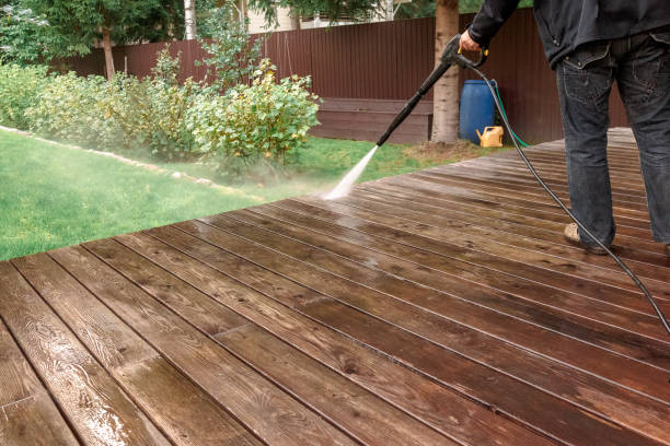 Best Boat and Dock Cleaning  in Ina, IL