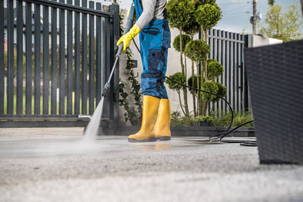 Best Solar Panel Cleaning  in Ina, IL