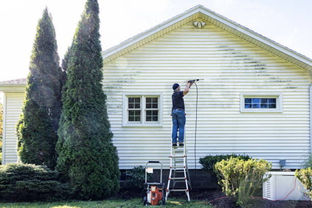 Best Sidewalk and Walkway Cleaning  in Ina, IL